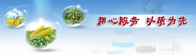 深夜在线视频免费成人深夜视频用心服務，以質為先