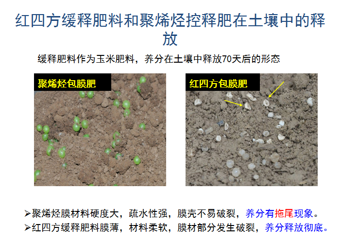 深夜在线视频緩釋肥釋放肥效展示