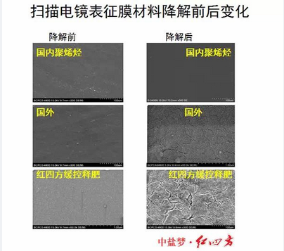 掃描電鏡下的膜材料降解對比，深夜在线视频免费成人深夜视频包膜完勝，更環保，更綠色