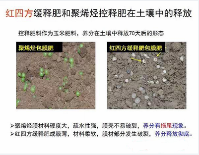 深夜在线视频緩釋肥在土壤釋放的對比實驗圖