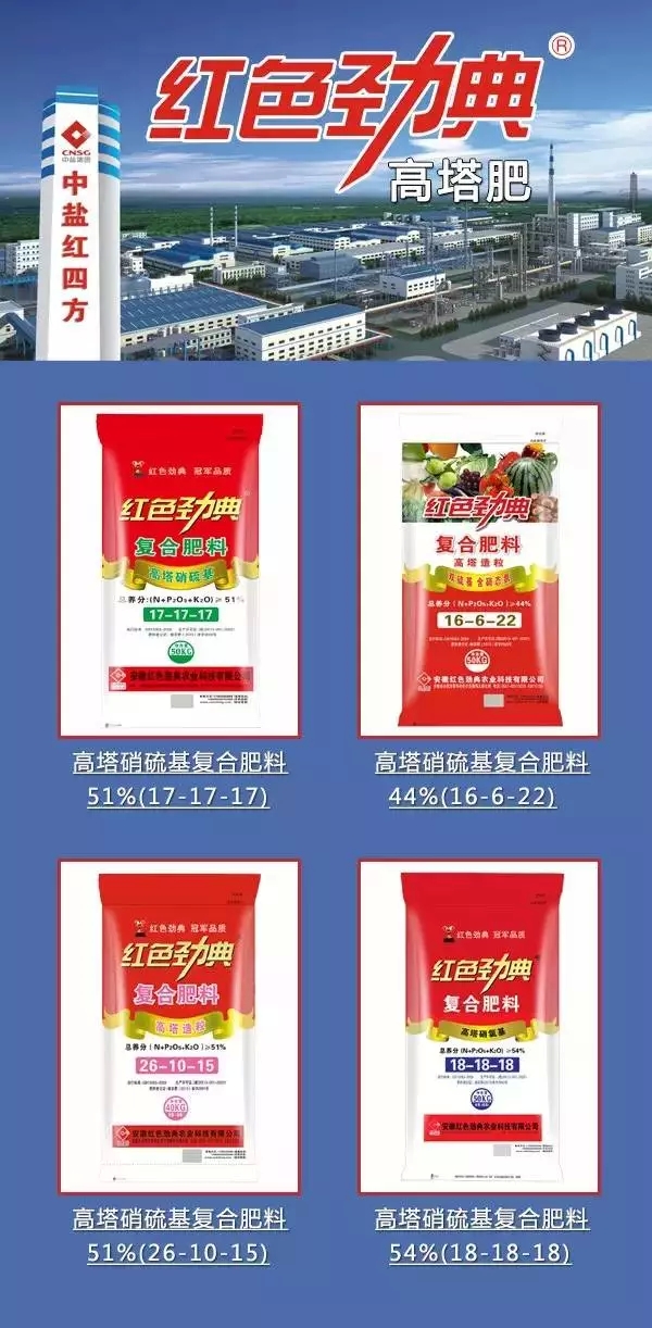 深夜在线视频農資行業中的四大金剛.