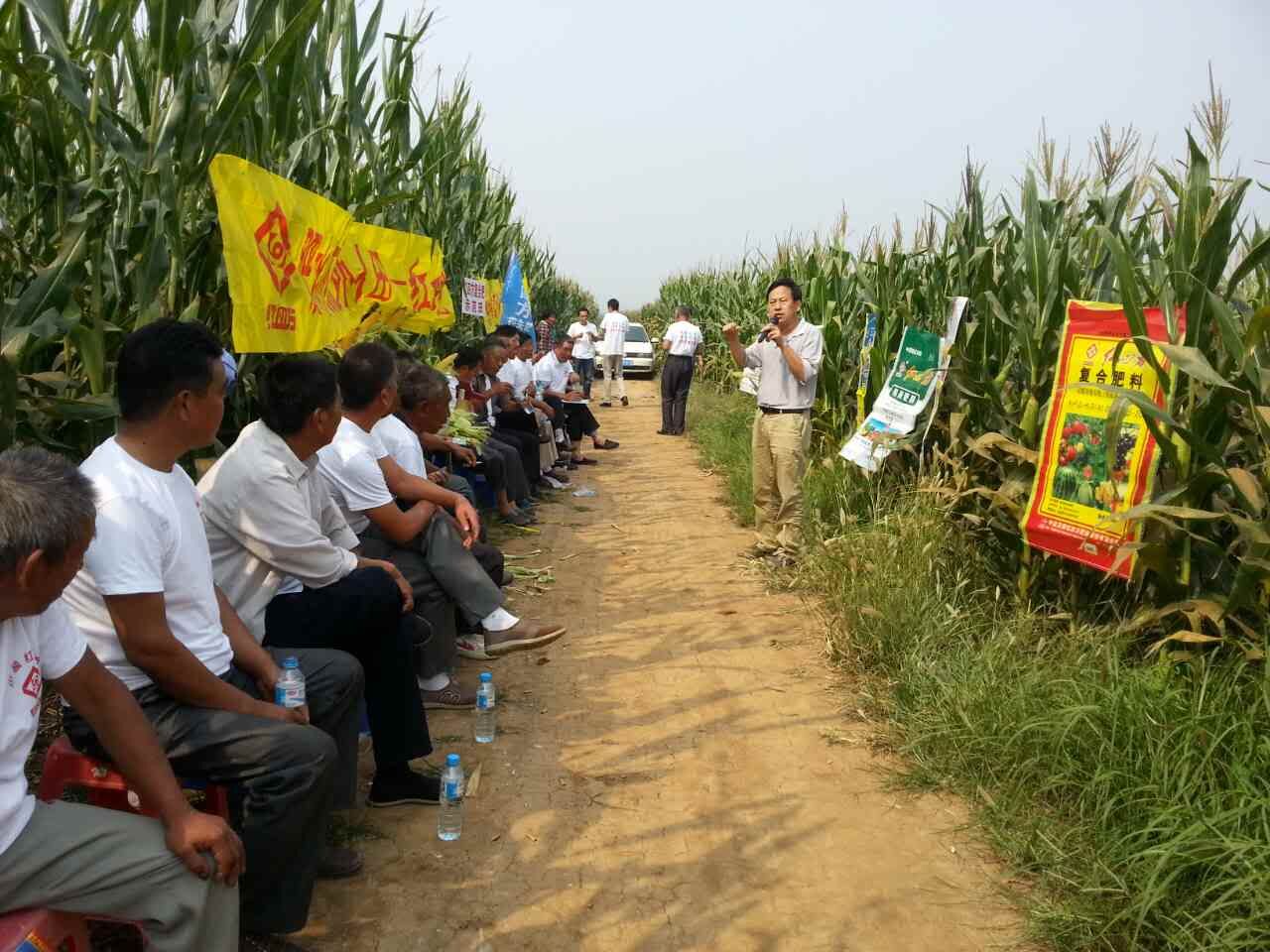 深夜在线视频緩釋肥廠家黃經理為大家講解農化知識