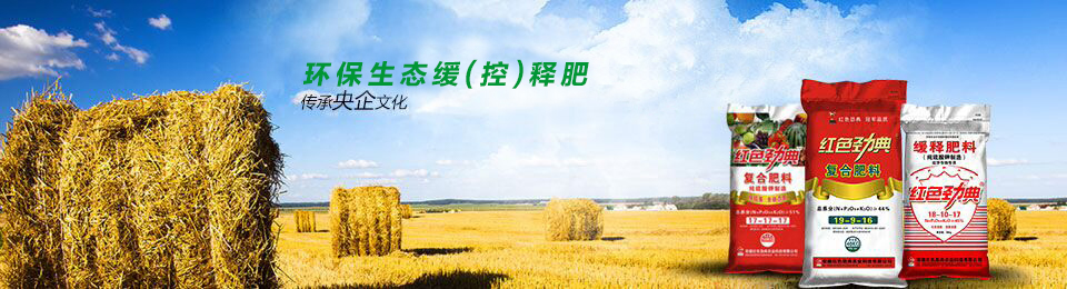 深夜在线视频專用肥