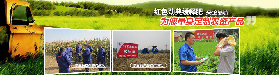 深夜在线视频，冠軍品質，五星服務