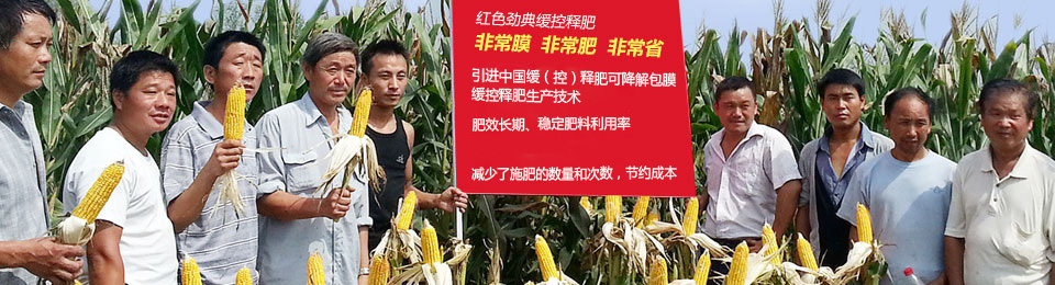 深夜在线视频緩釋肥，國際領先技術